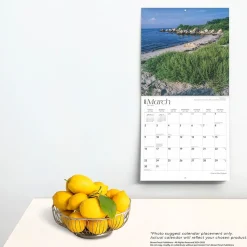 2025 BrownTrout Coast of New England 12