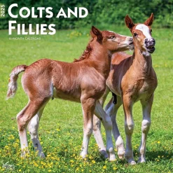 2025 BrownTrout Colts and Fillies 12" x 12" Monthly Wall Calendar (9781975483722)