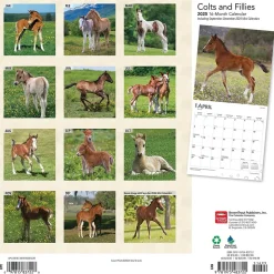 2025 BrownTrout Colts and Fillies 12" x 12" Monthly Wall Calendar (9781975483722)