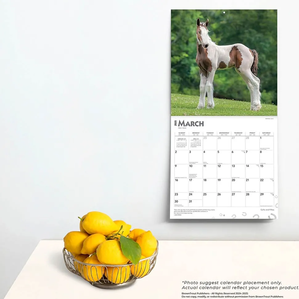 2025 BrownTrout Colts and Fillies 12" x 12" Monthly Wall Calendar (9781975483722)