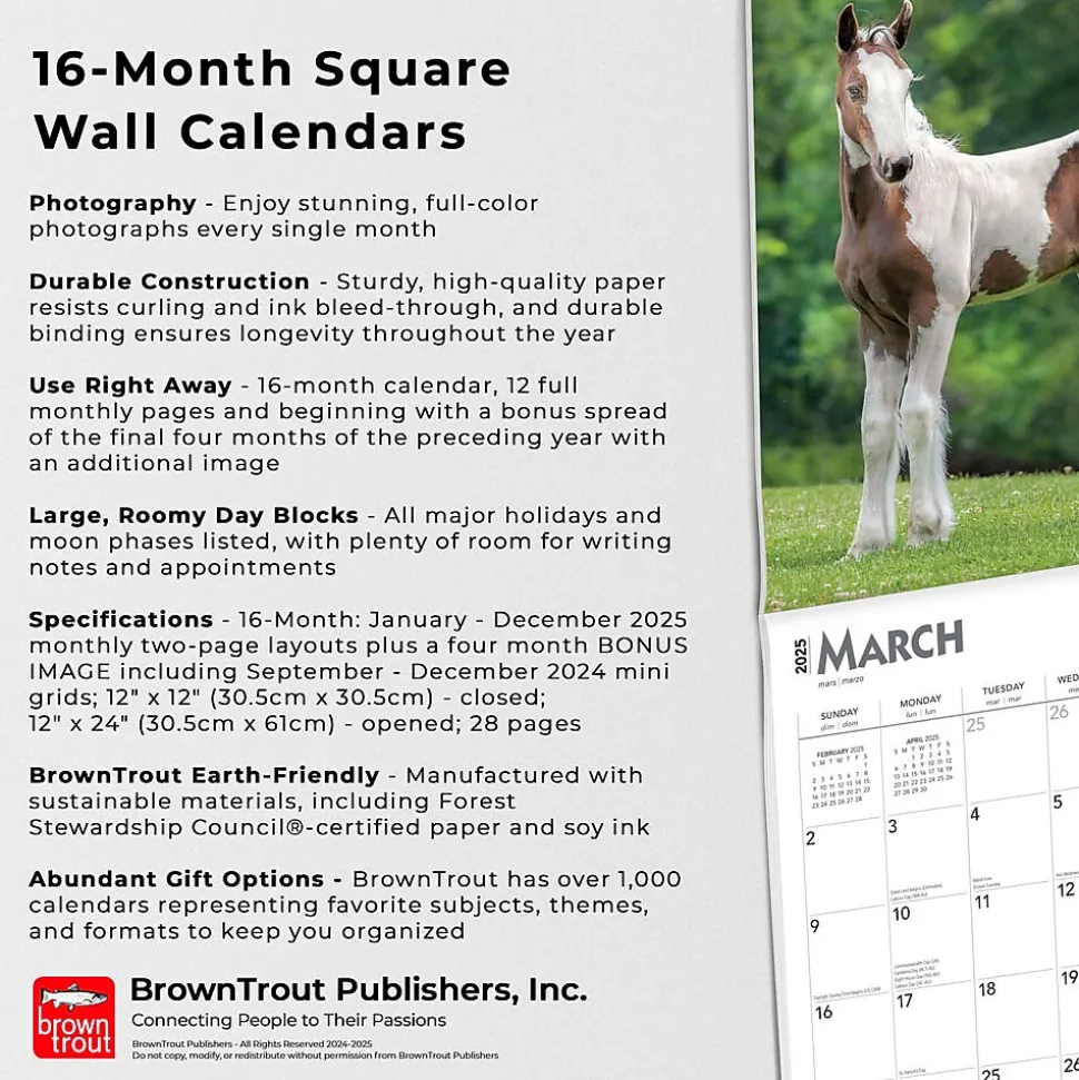 2025 BrownTrout Colts and Fillies 12" x 12" Monthly Wall Calendar (9781975483722)