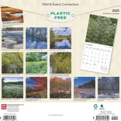 2025 BrownTrout Connecticut Wild & Scenic 12" x 24" Monthly Square Wall Calendar (9781975474720)