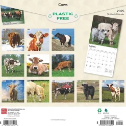 2025 BrownTrout Cows 12" x 12" Monthly Wall Calendar (9781975476892)