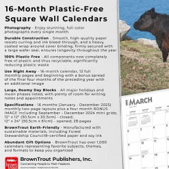 2025 BrownTrout Cows 12