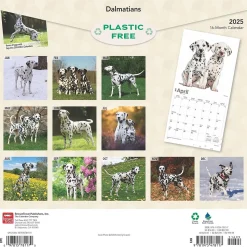 2025 BrownTrout Dalmatians 12" x 24" Monthly Square Wall Calendar, (9781975478117)