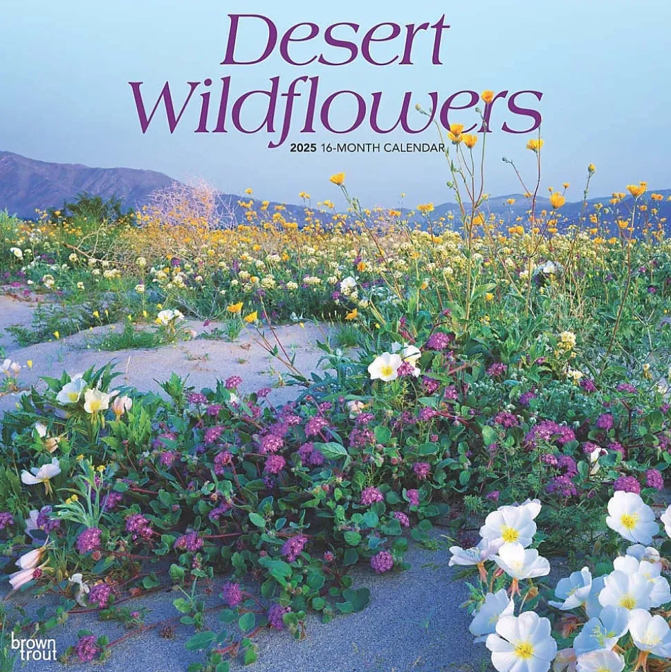 2025 BrownTrout Desert Wildflowers 12" x 12" Monthly Wall Calendar (9781975476014)
