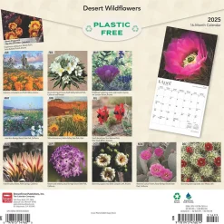 2025 BrownTrout Desert Wildflowers 12" x 12" Monthly Wall Calendar (9781975476014)