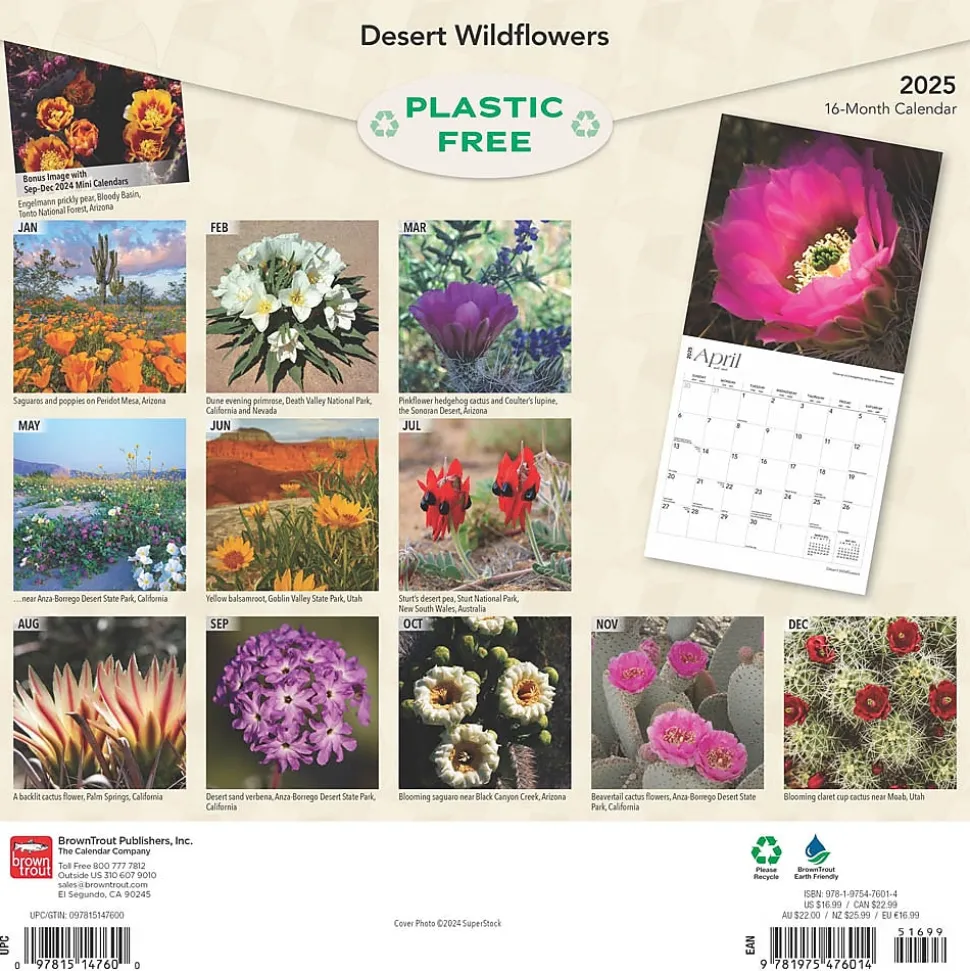2025 BrownTrout Desert Wildflowers 12" x 12" Monthly Wall Calendar (9781975476014)