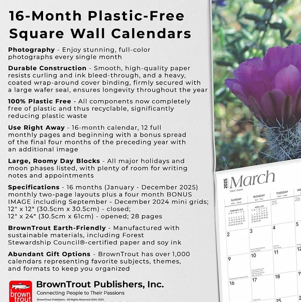 2025 BrownTrout Desert Wildflowers 12" x 12" Monthly Wall Calendar (9781975476014)
