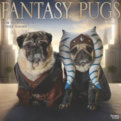 2025 BrownTrout Fantasy Pugs 12" x 12" Monthly Square Wall Calendar (9781975479824)