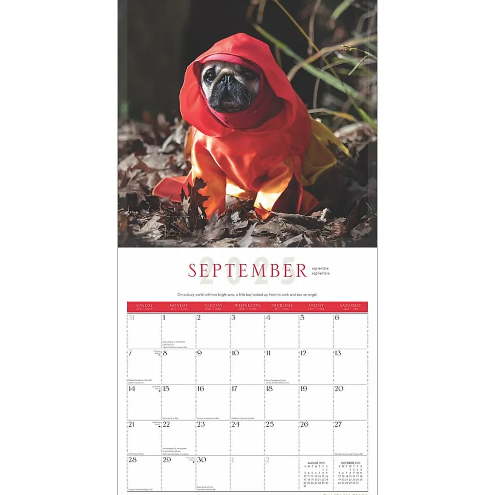 2025 BrownTrout Fantasy Pugs 12" x 12" Monthly Square Wall Calendar (9781975479824)