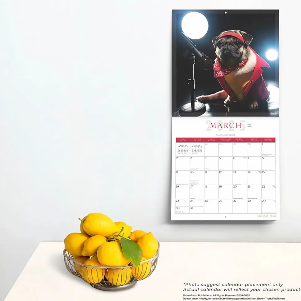 2025 BrownTrout Fantasy Pugs 12" x 12" Monthly Square Wall Calendar (9781975479824)