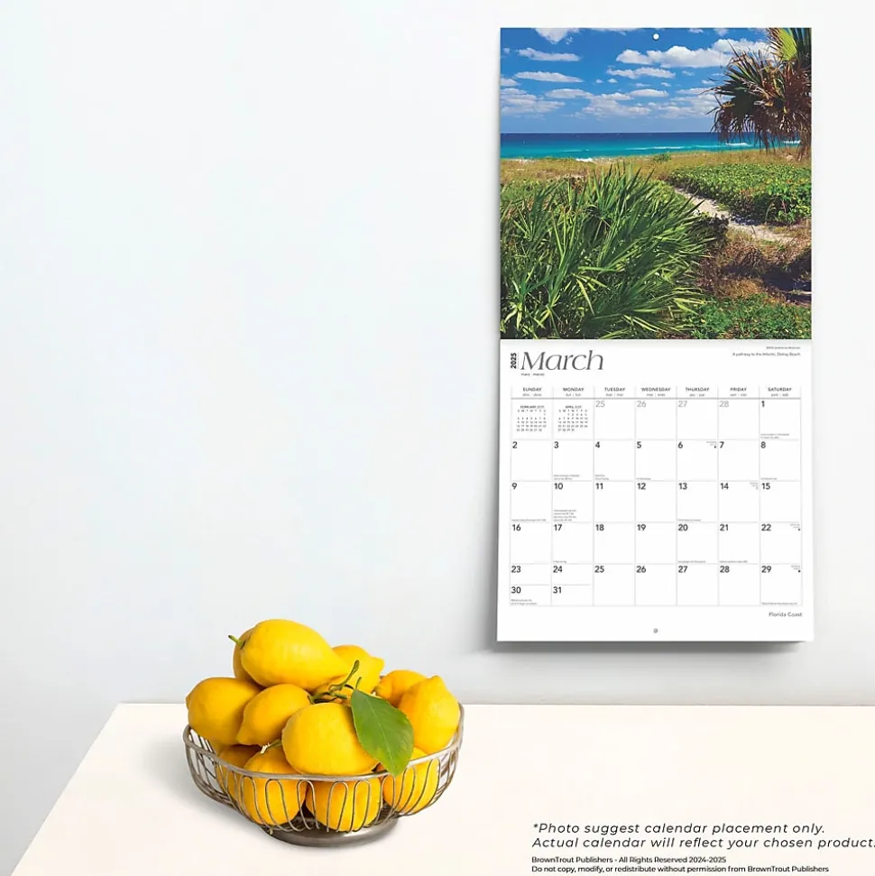2025 BrownTrout Florida Coast 12" x 12" Monthly Wall Calendar (9781975474799)