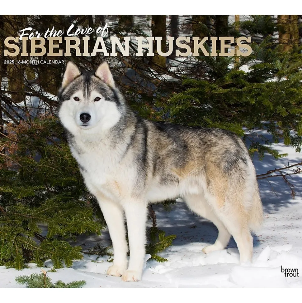 2025 BrownTrout For the Love of Siberian Huskies 7" x 12" Monthly Wall Calendar (9781975473082)
