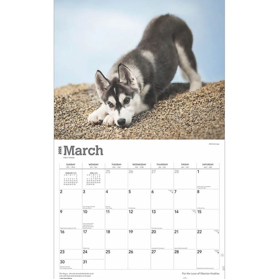 2025 BrownTrout For the Love of Siberian Huskies 7" x 12" Monthly Wall Calendar (9781975473082)