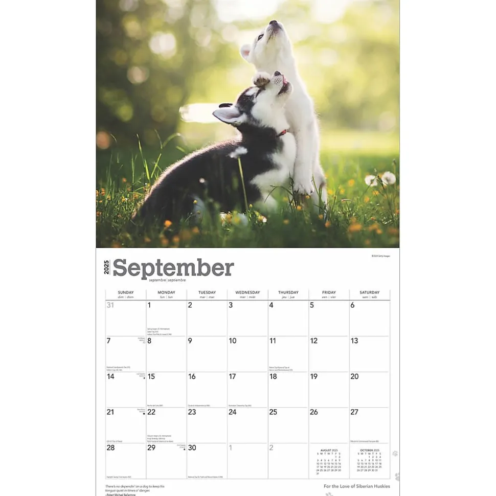2025 BrownTrout For the Love of Siberian Huskies 7" x 12" Monthly Wall Calendar (9781975473082)