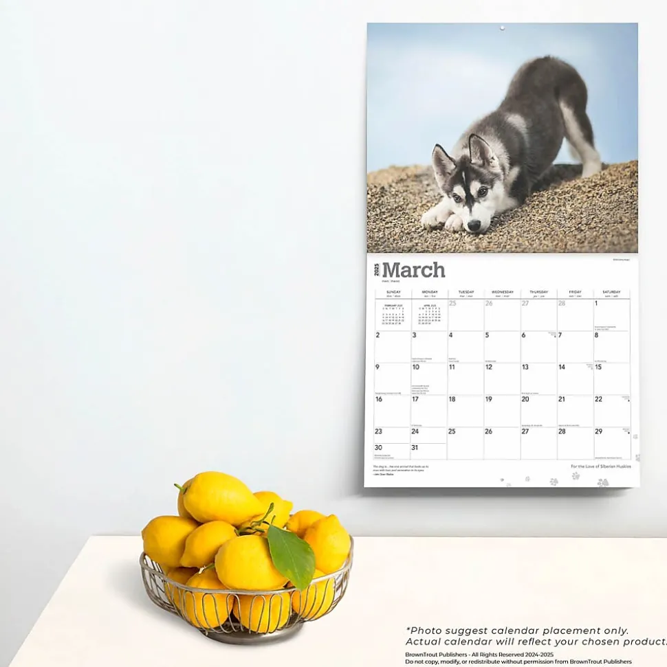 2025 BrownTrout For the Love of Siberian Huskies 7" x 12" Monthly Wall Calendar (9781975473082)