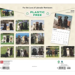 2025 BrownTrout For the Love of Labrador Retrievers 14" x 24" Monthly Deluxe Wall Calendar, (9781975473068)