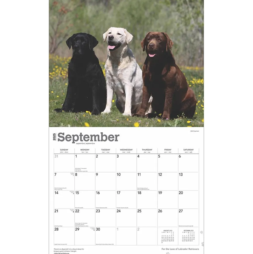 2025 BrownTrout For the Love of Labrador Retrievers 14" x 24" Monthly Deluxe Wall Calendar, (9781975473068)