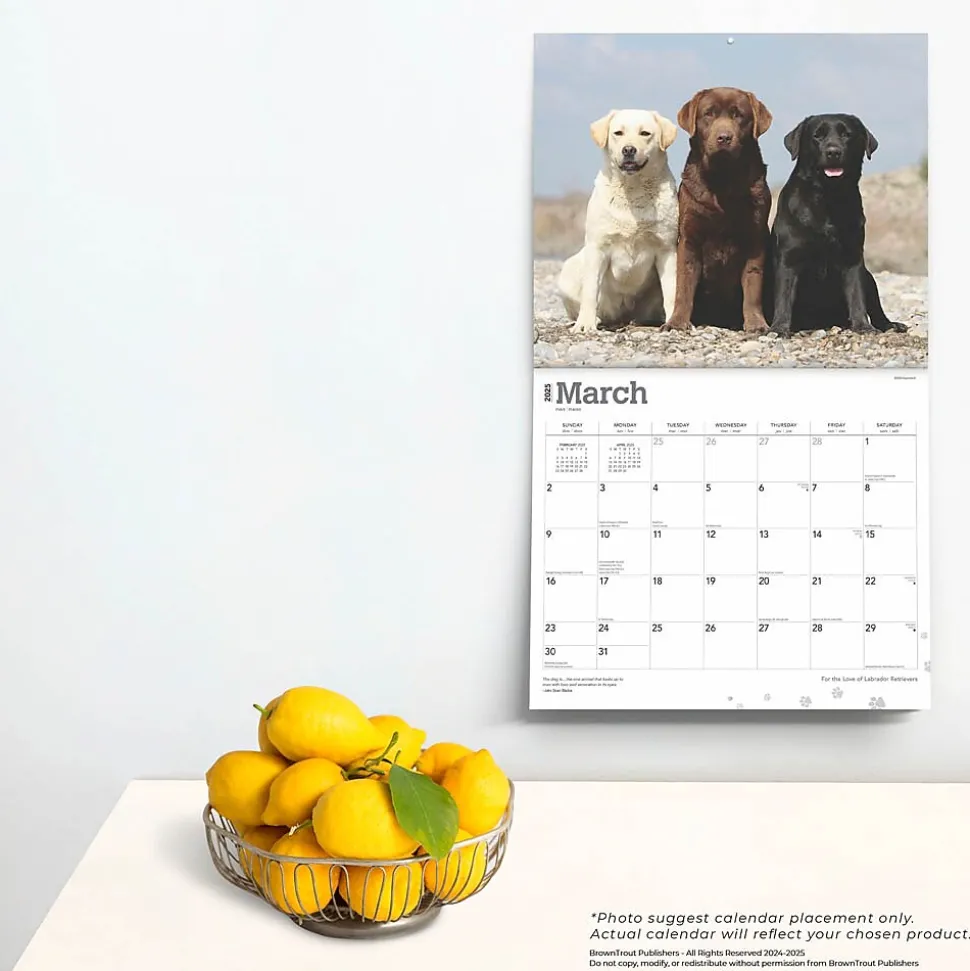 2025 BrownTrout For the Love of Labrador Retrievers 14" x 24" Monthly Deluxe Wall Calendar, (9781975473068)