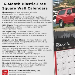 2025 BrownTrout Ford Bronco 12