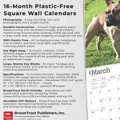 2025 BrownTrout French Bulldogs 12