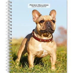 2025 BrownTrout French Bulldogs 6" x 7.75" Weekly Engagement Planner, Paper Cover, Multicolored (9781975483159)