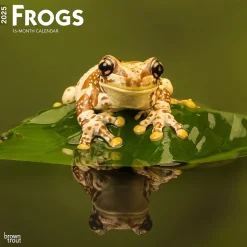 2025 BrownTrout Frogs 12" x 24" Monthly Square Wall Calendar (9781975476991)