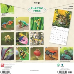 2025 BrownTrout Frogs 12" x 24" Monthly Square Wall Calendar (9781975476991)