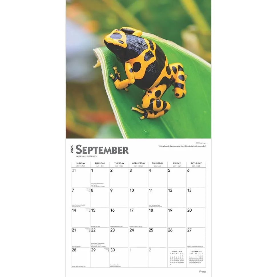 2025 BrownTrout Frogs 12" x 24" Monthly Square Wall Calendar (9781975476991)