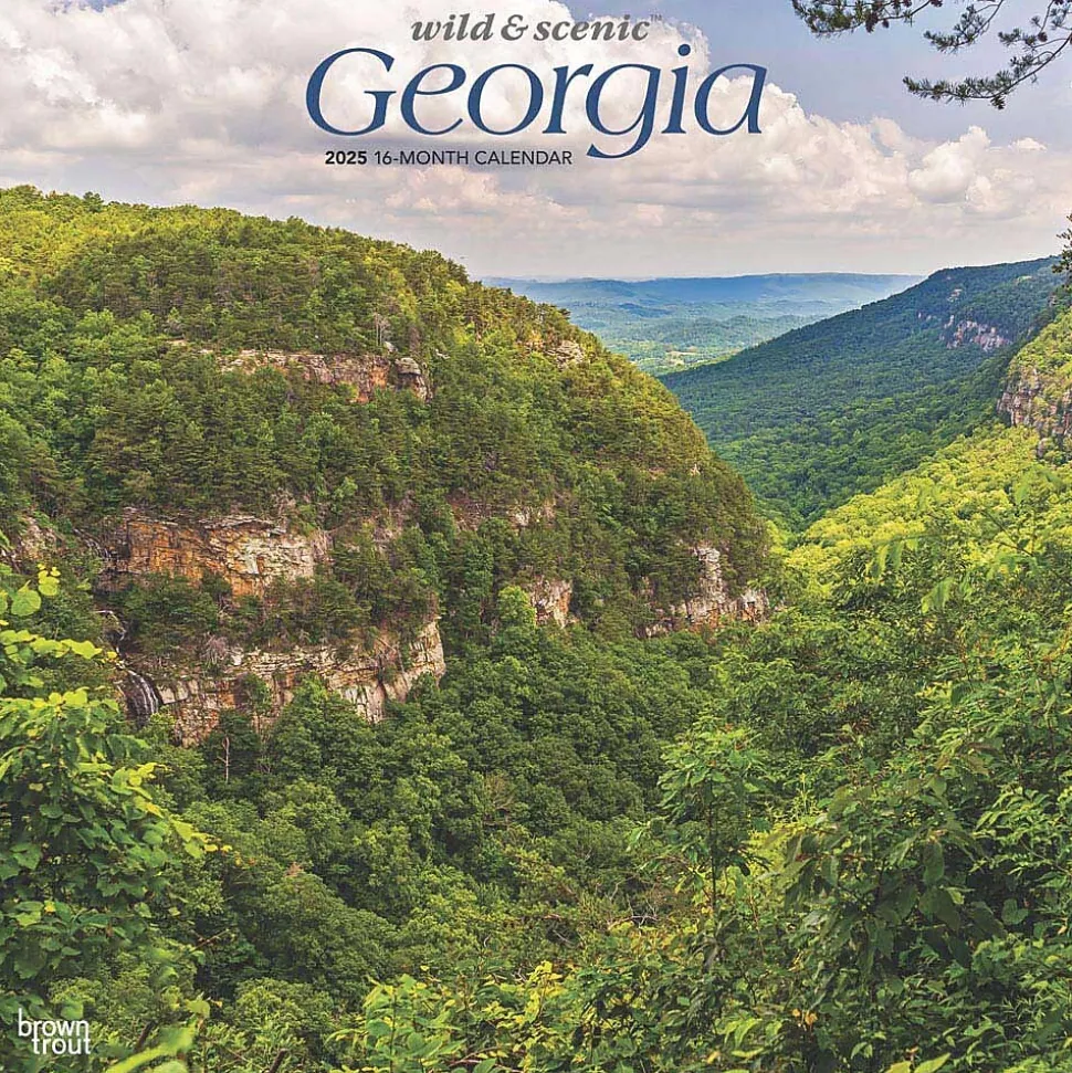 2025 BrownTrout Georgia Wild & Scenic 12" x 12" Monthly Square Wall Calendar (9781975474836)