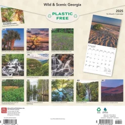 2025 BrownTrout Georgia Wild & Scenic 12" x 12" Monthly Square Wall Calendar (9781975474836)