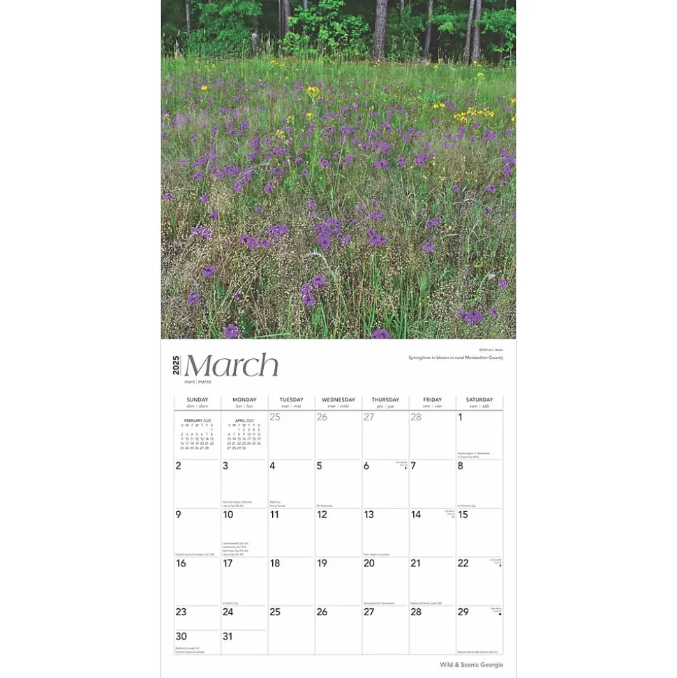 2025 BrownTrout Georgia Wild & Scenic 12" x 12" Monthly Square Wall Calendar (9781975474836)