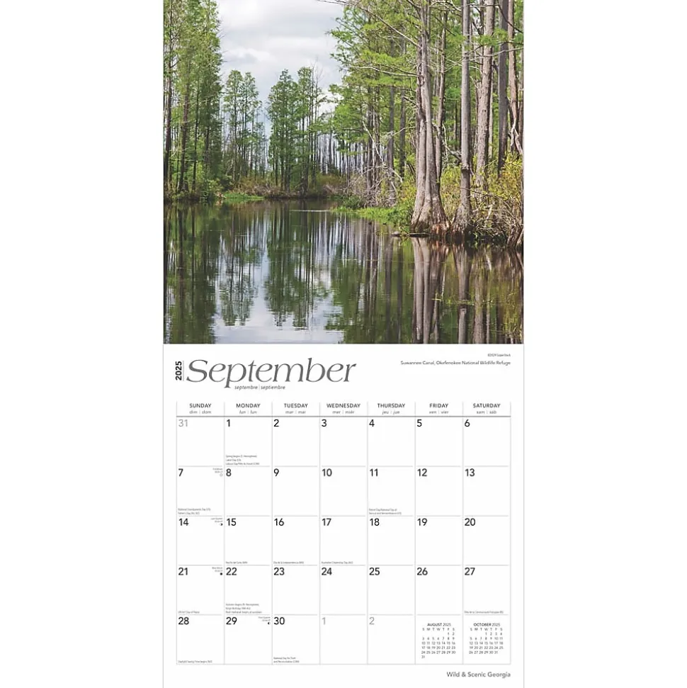 2025 BrownTrout Georgia Wild & Scenic 12" x 12" Monthly Square Wall Calendar (9781975474836)