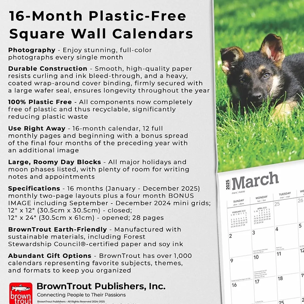 2025 BrownTrout German Shepherd Puppies 12" x 12" Monthly Square Wall Calendar (9781975477004)