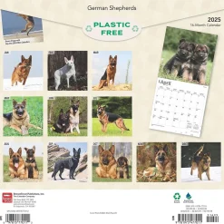 2025 BrownTrout German Shepherds 12" x 12" Monthly Square Wall Calendar (9781975477011)