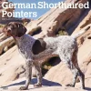 2025 BrownTrout German Shorthaired Pointers 12" x 12" Monthly Square Wall Calendar (9781975477028)
