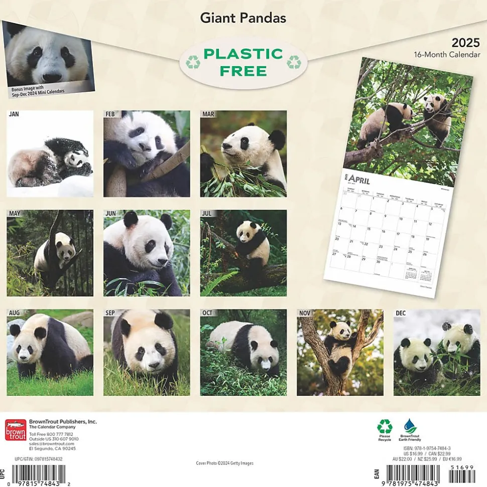 2025 BrownTrout Giant Pandas 12" x 12" Monthly Wall Calendar (9781975474843)