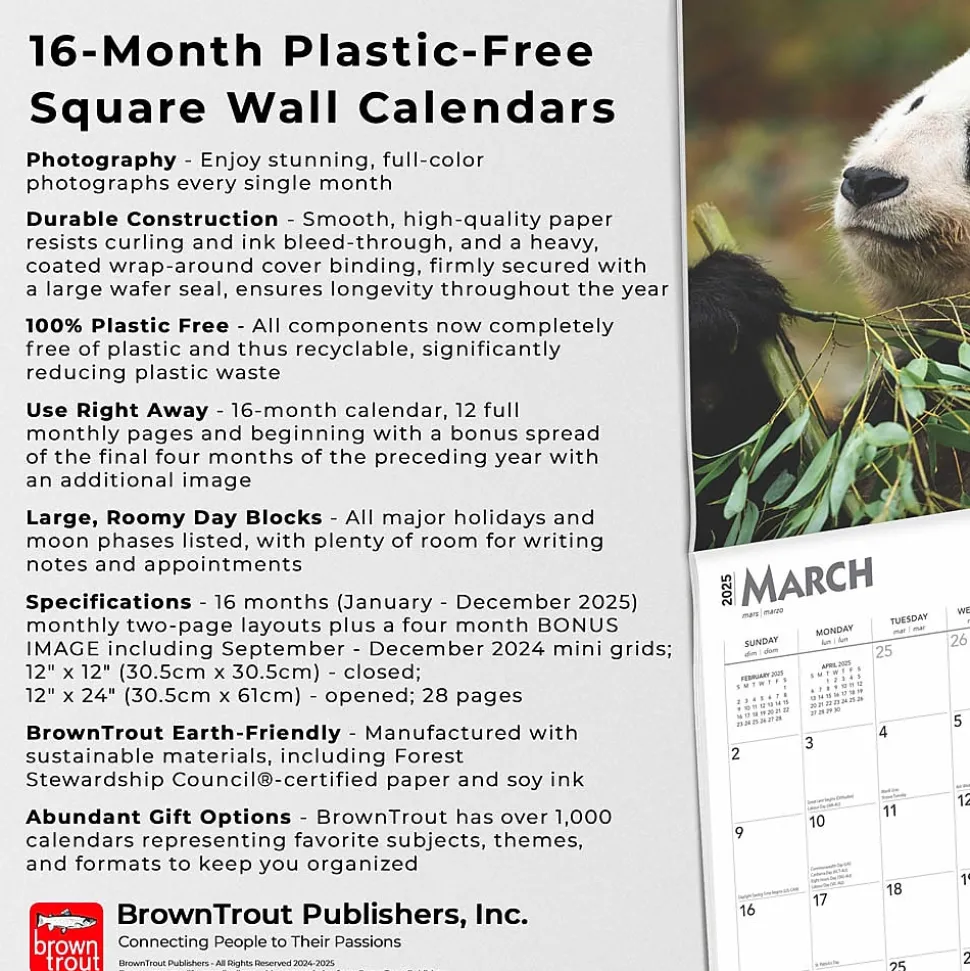 2025 BrownTrout Giant Pandas 12" x 12" Monthly Wall Calendar (9781975474843)