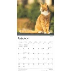 2025 BrownTrout Ginger Cats 12