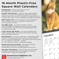 2025 BrownTrout Ginger Cats 12