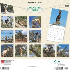 2025 BrownTrout Goats in Trees 12" x 12" Monthly Square Wall Calendar (9781975477059)