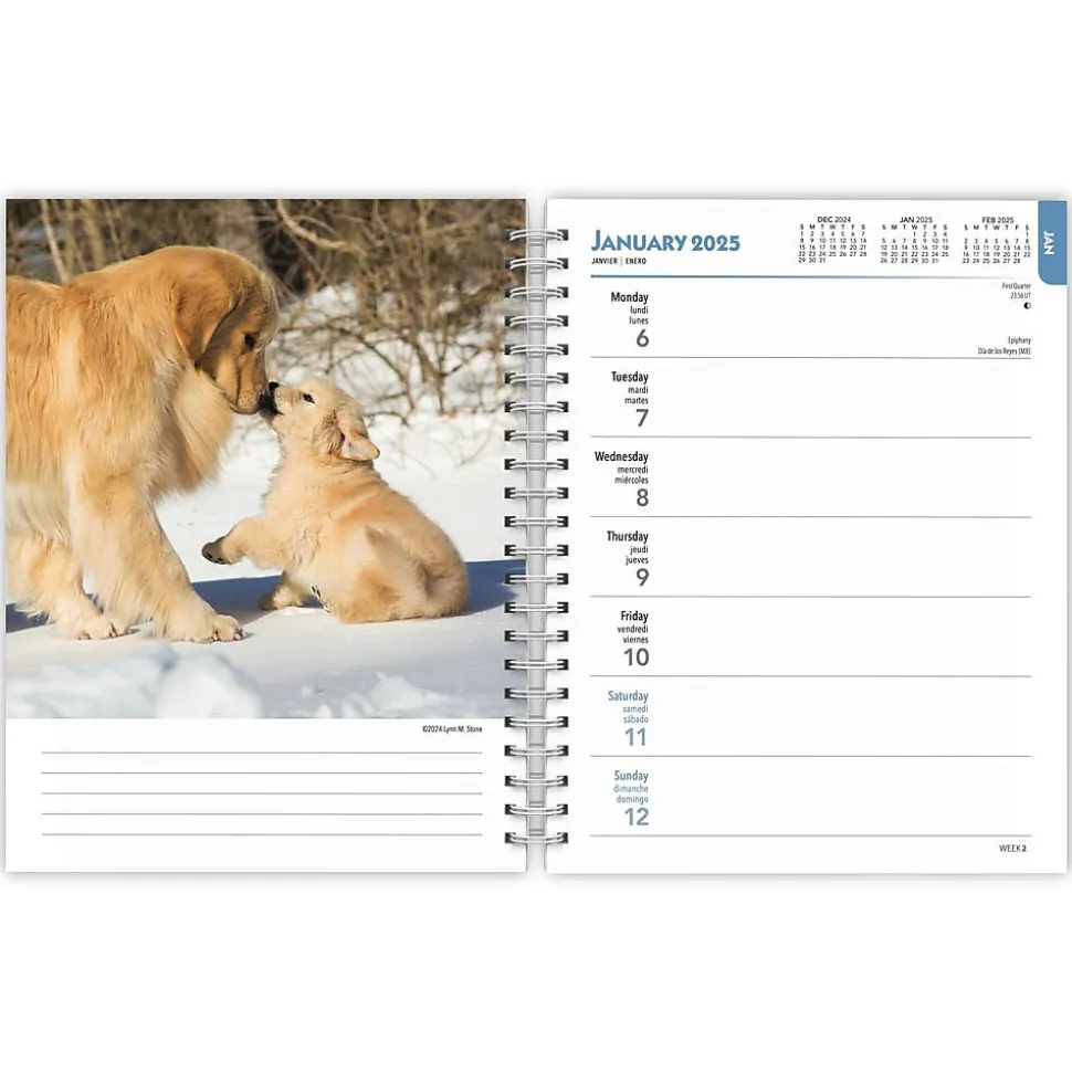 2025 BrownTrout Golden Retrievers 6" x 7.75" Weekly Engagement Planner, Paper Cover, Multicolored (9781975473150)