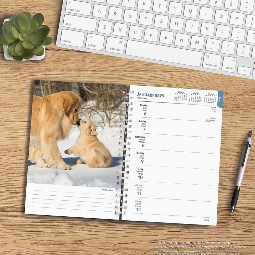 2025 BrownTrout Golden Retrievers 6" x 7.75" Weekly Engagement Planner, Paper Cover, Multicolored (9781975473150)