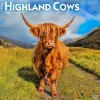 2025 BrownTrout Highland Cows 12" x 12" Monthly Square Wall Calendar (9781975478377)