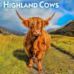 2025 BrownTrout Highland Cows 12" x 12" Monthly Square Wall Calendar (9781975478377)