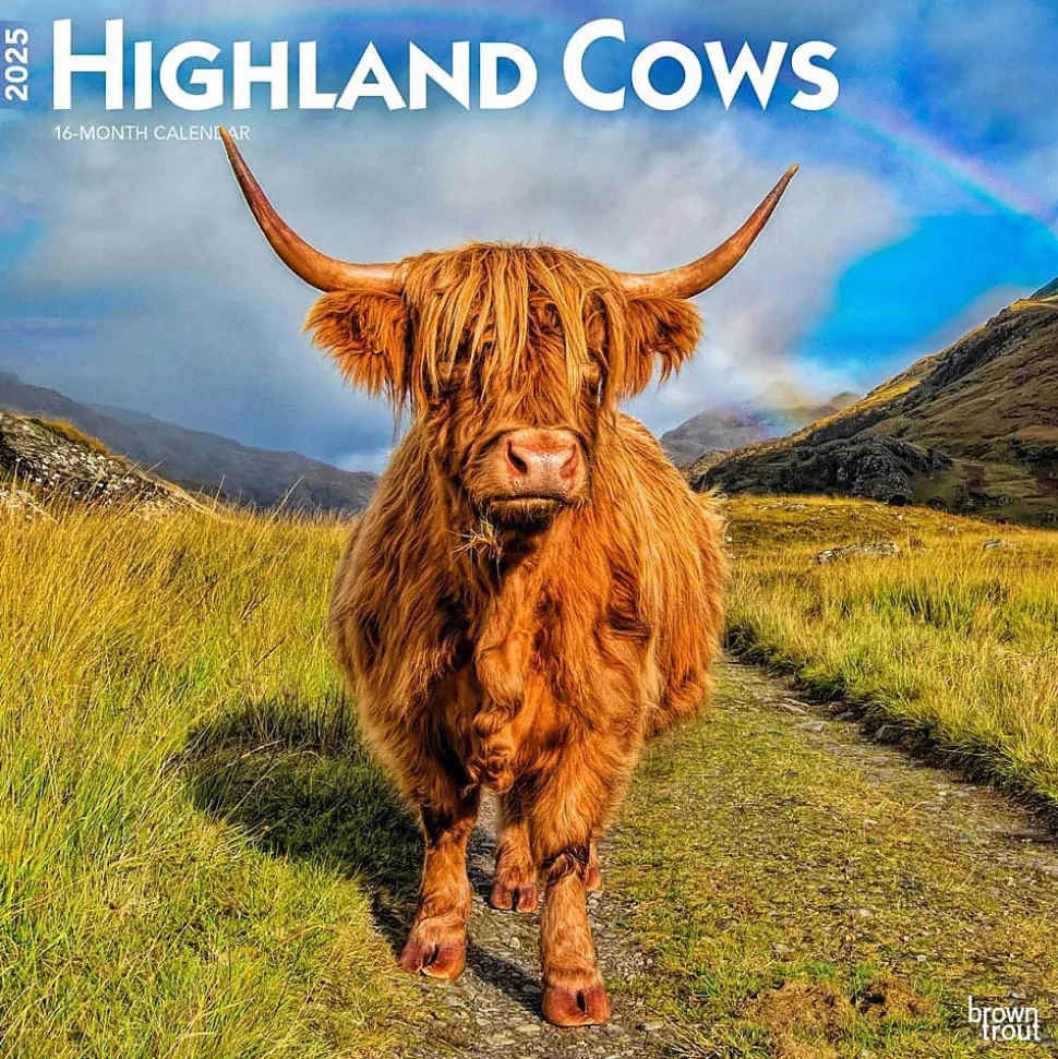 2025 BrownTrout Highland Cows 12" x 12" Monthly Square Wall Calendar (9781975478377)