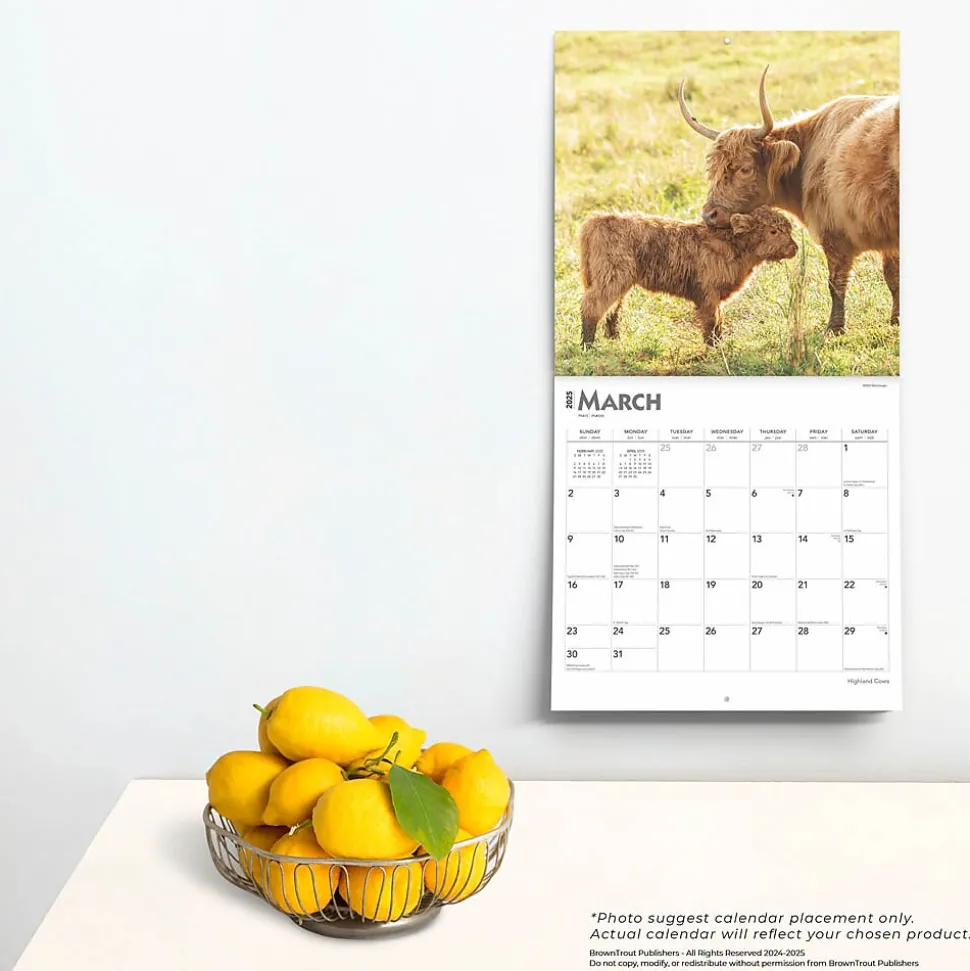 2025 BrownTrout Highland Cows 12" x 12" Monthly Square Wall Calendar (9781975478377)