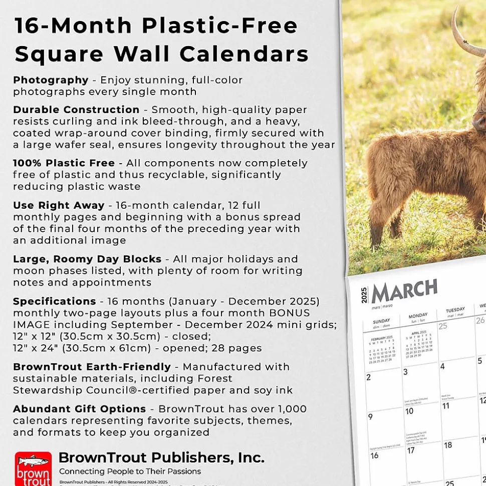 2025 BrownTrout Highland Cows 12" x 12" Monthly Square Wall Calendar (9781975478377)