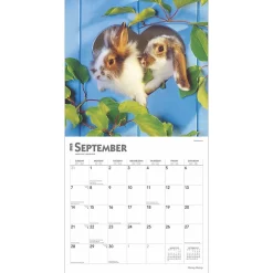 2025 BrownTrout Honey Bunny 12